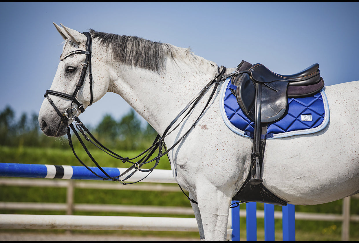 SD Design saddle pad My Passion blissful sea