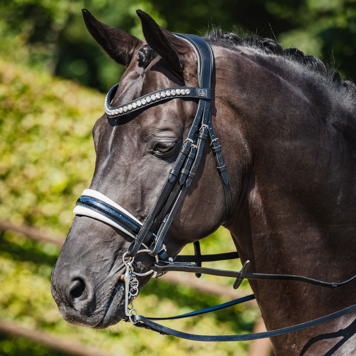 SD Design Bridle Mystery black glitter varnish with white lining
