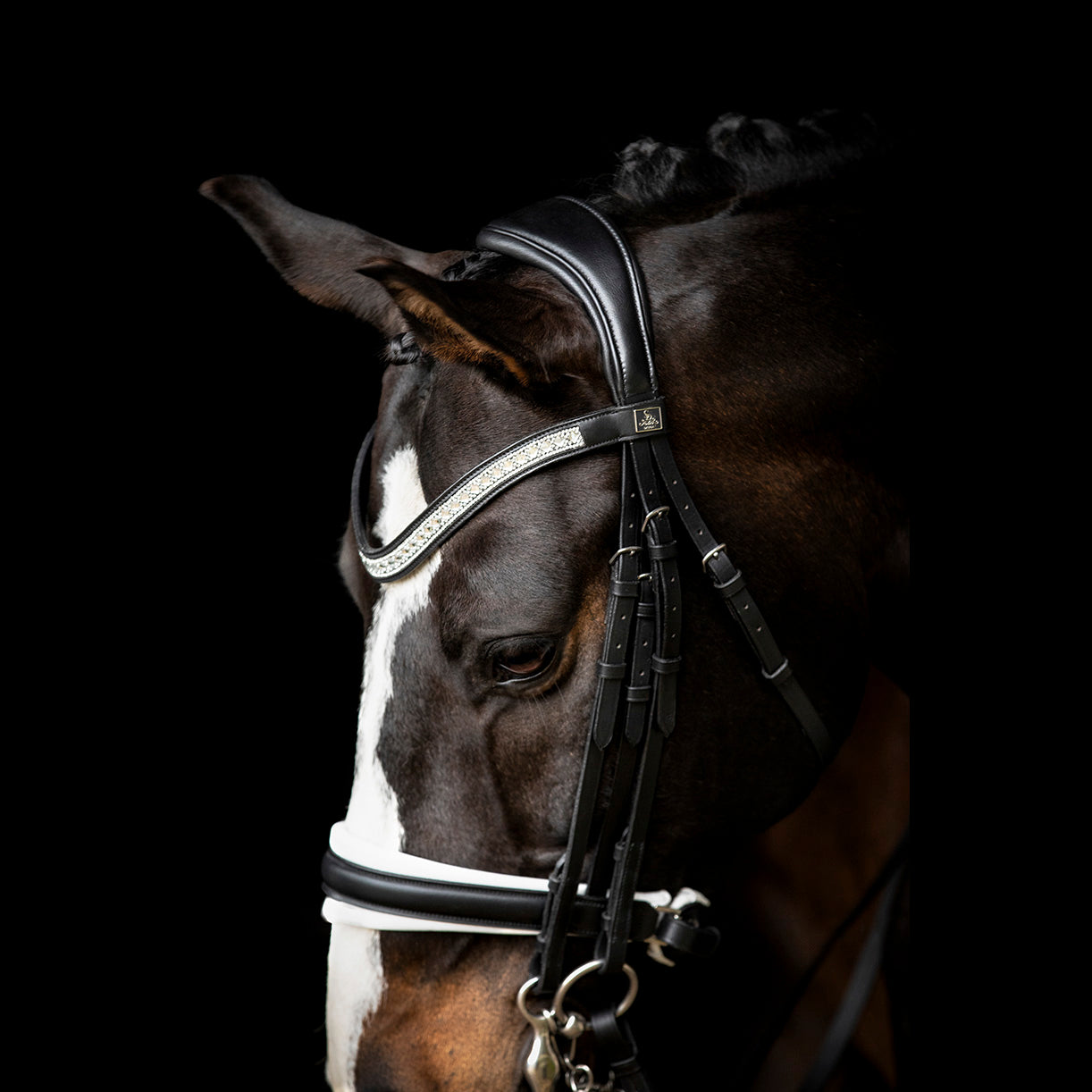 SD Design curb bit Silvano black and white lined