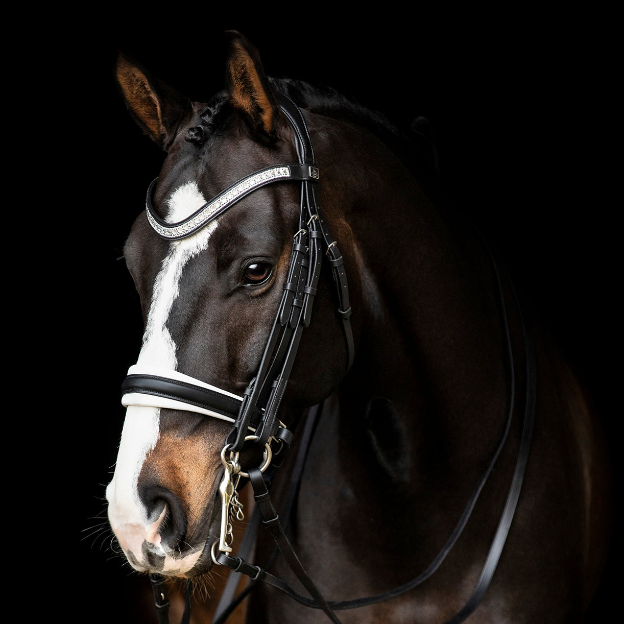 SD Design curb bit Silvano black and white lined