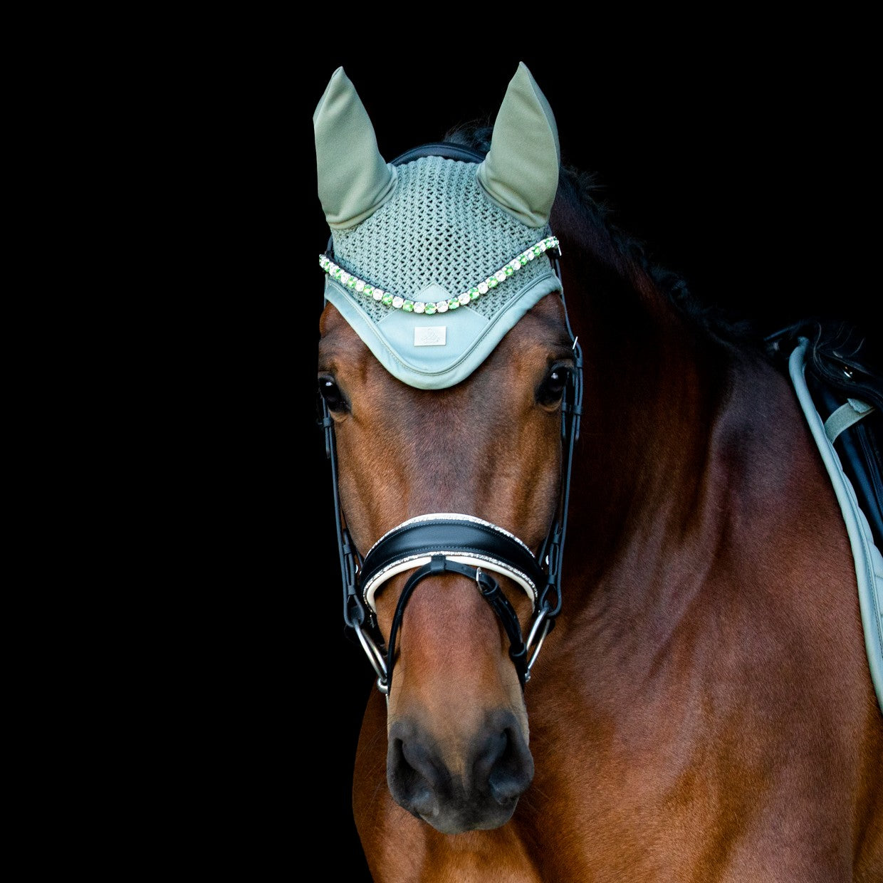 SD Design noseband Swedish combined black with crystal rocks decorative piping white lined