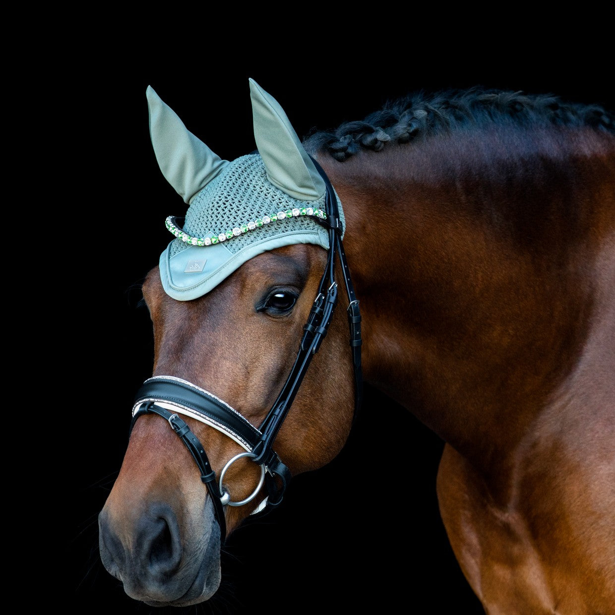 SD Design noseband Swedish combined black with crystal rocks decorative piping white lined