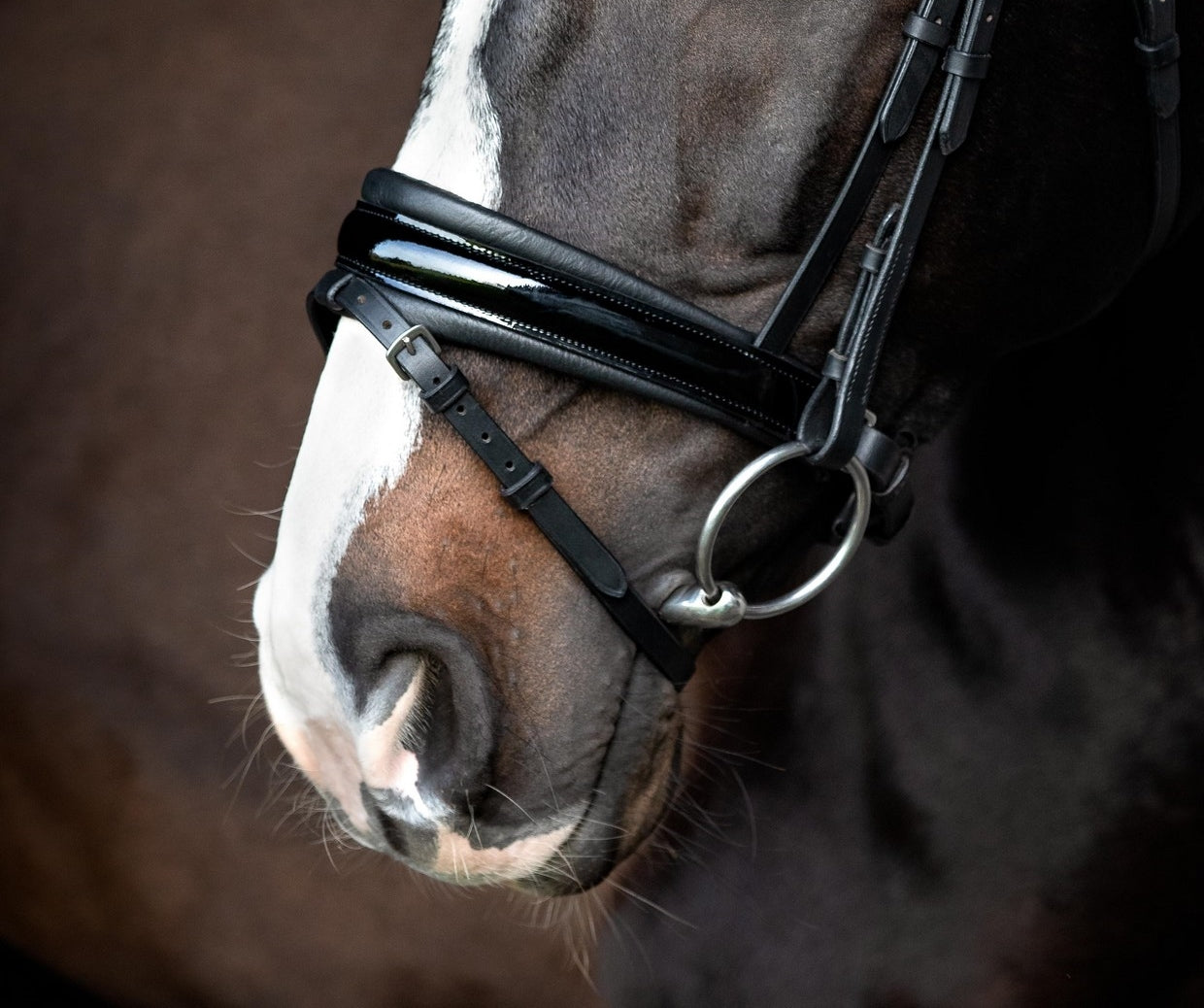 SD Design noseband Swedish combined patent black