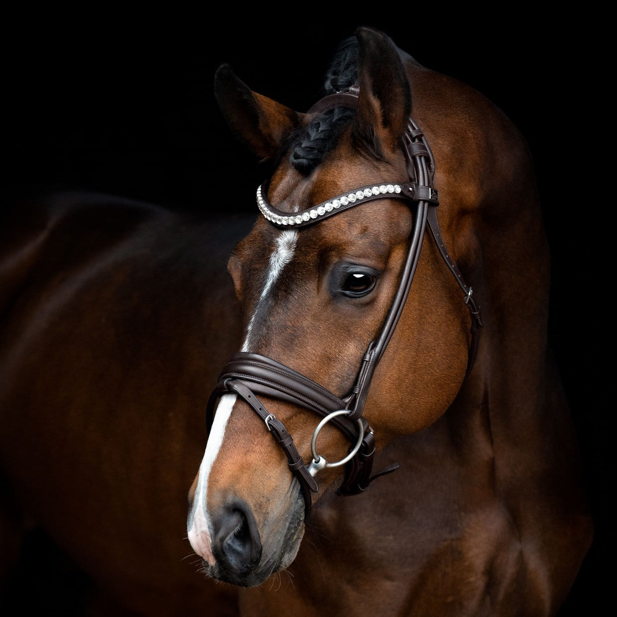 SD Design Bridle Duke de Niro II round stitched brown