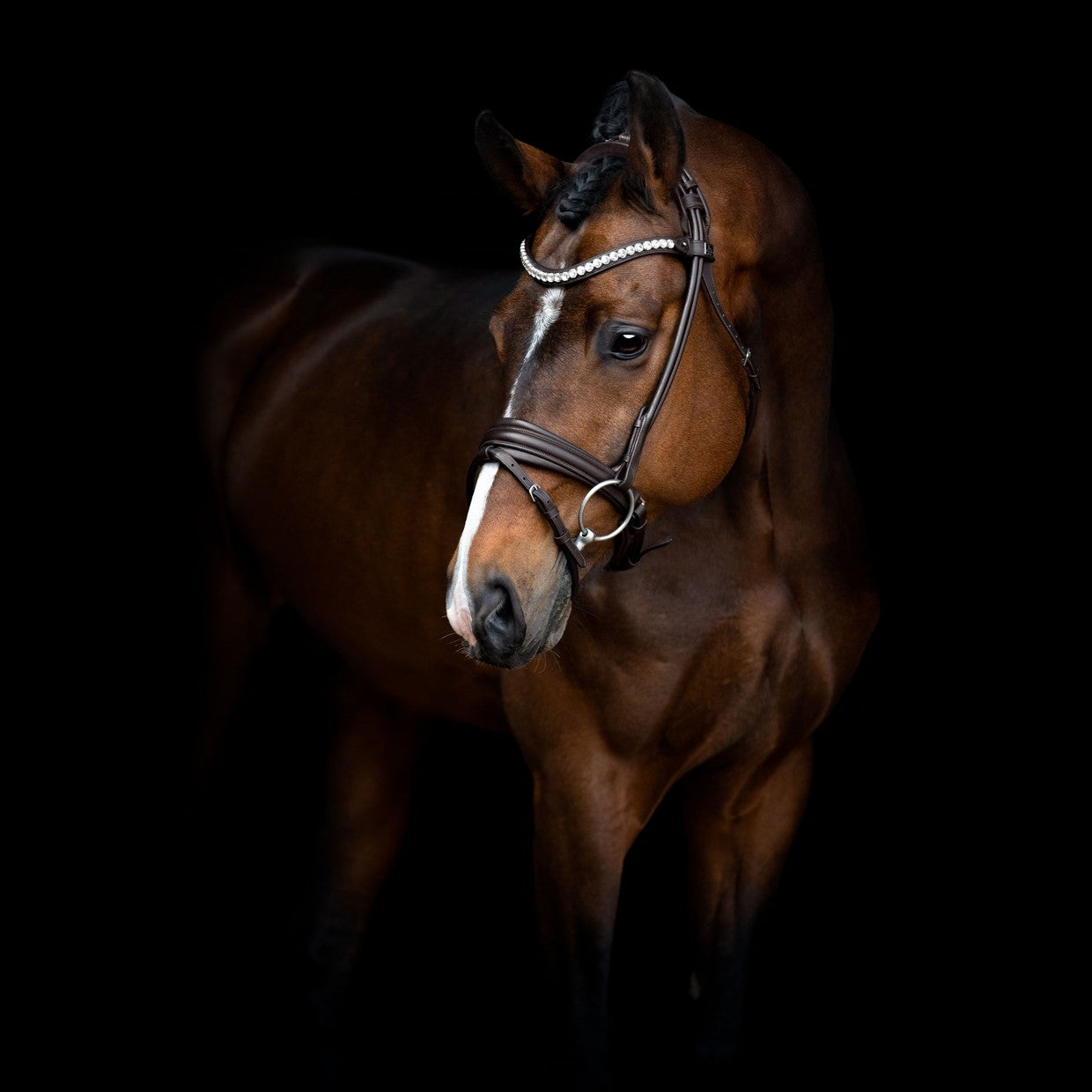 SD Design Bridle Duke de Niro II round stitched brown