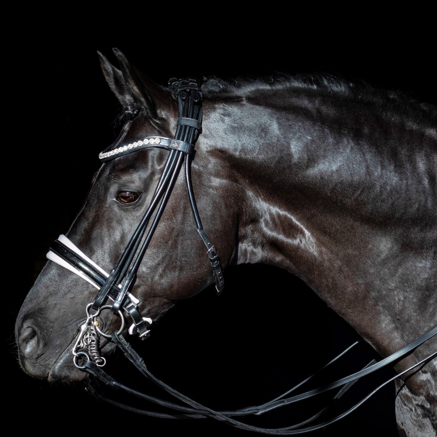 SD Design Bridle Mystery round stitched black glitter varnish white lining