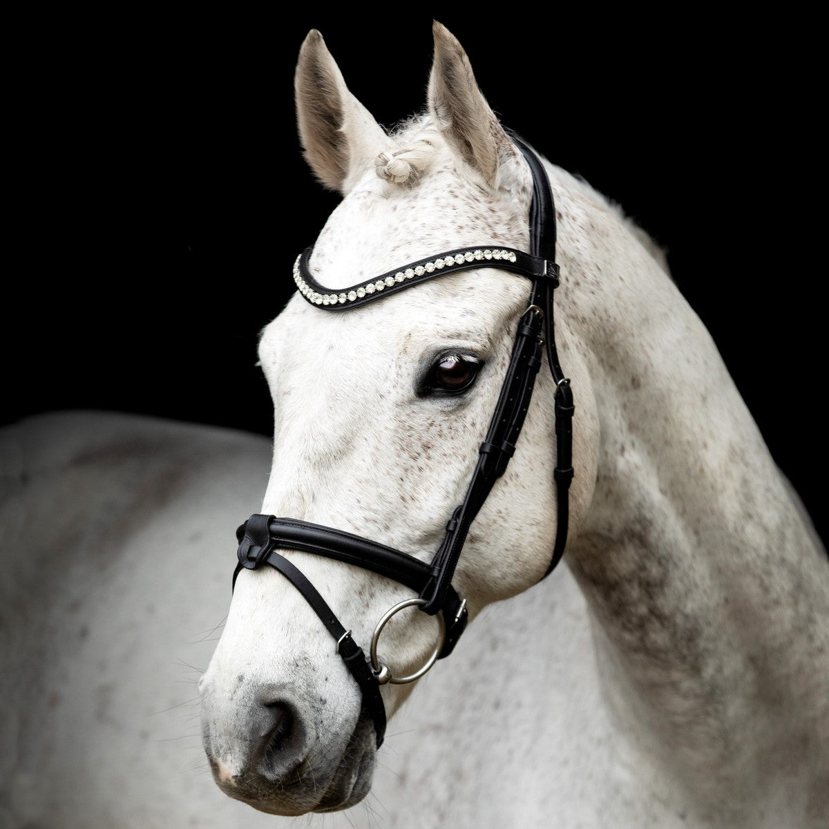 SD Design Bridle Leerox black with removable flash strap