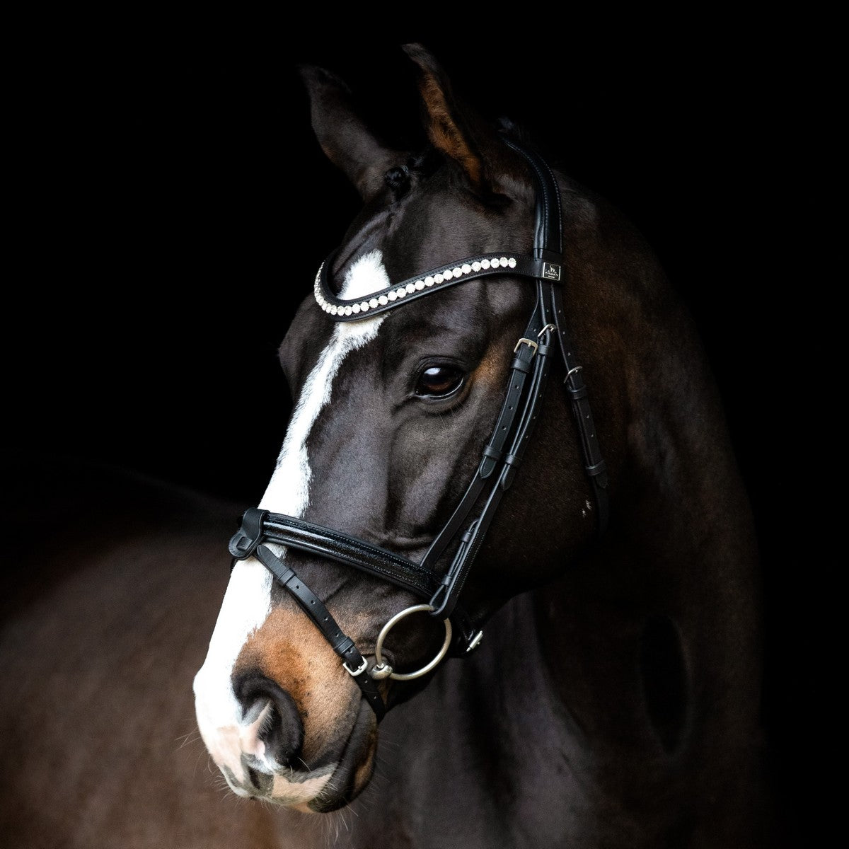 SD Design Bridle Leerox black glitter varnish with removable flash strap