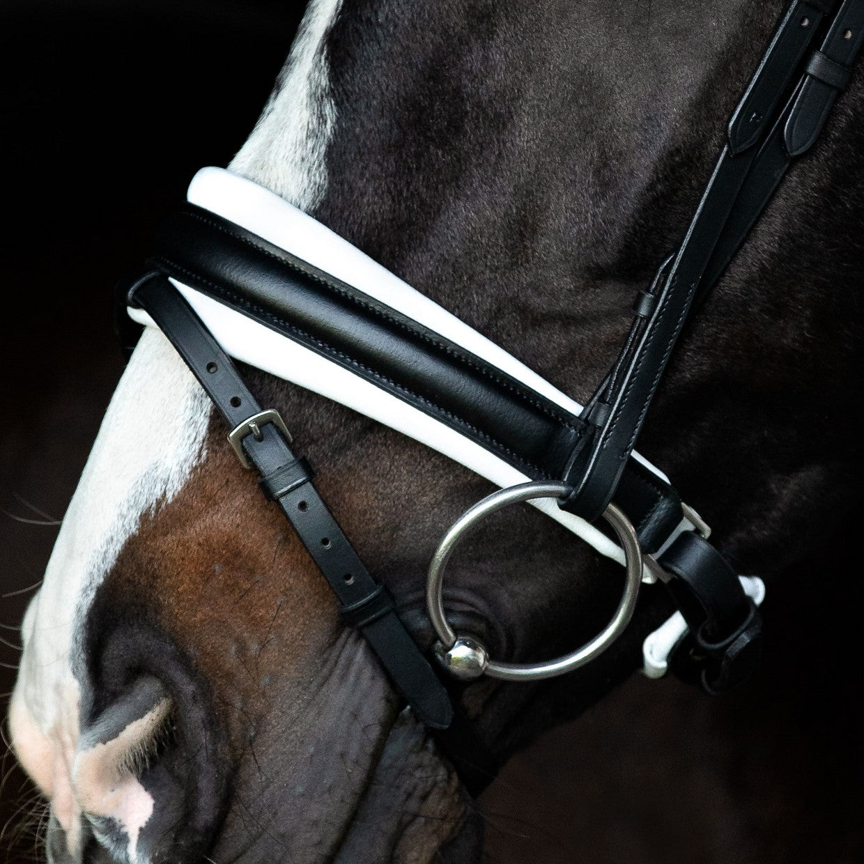 SD Design noseband Swedish combined black and white lined