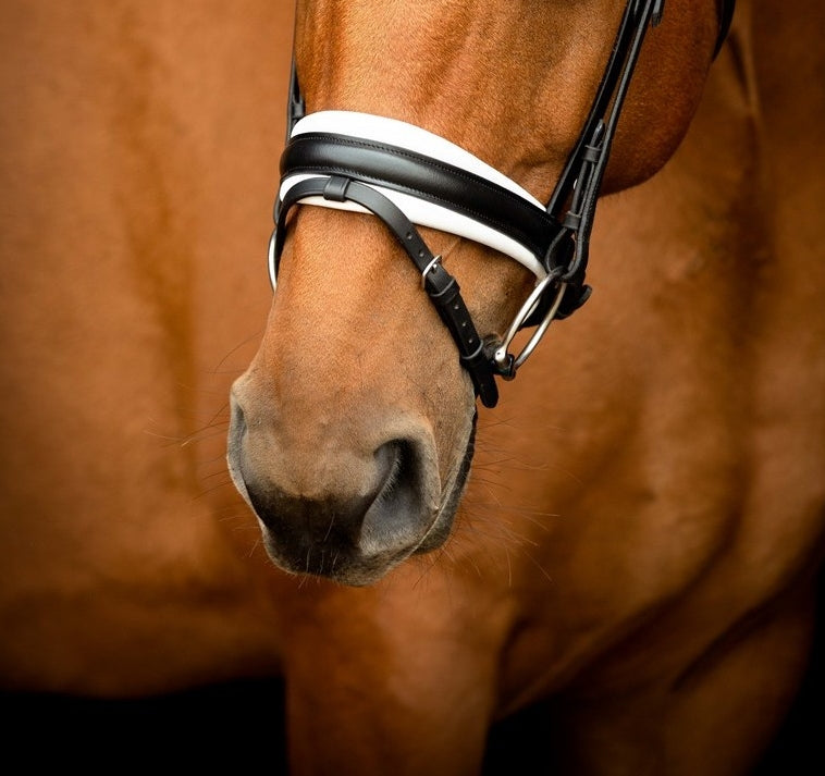 SD Design noseband Swedish combined black and white lined