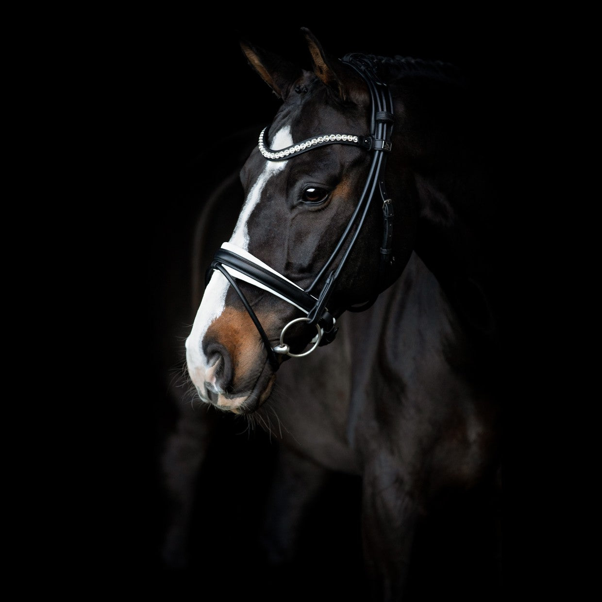 SD Design Bridle Duke de Niro II black round stitched white lined
