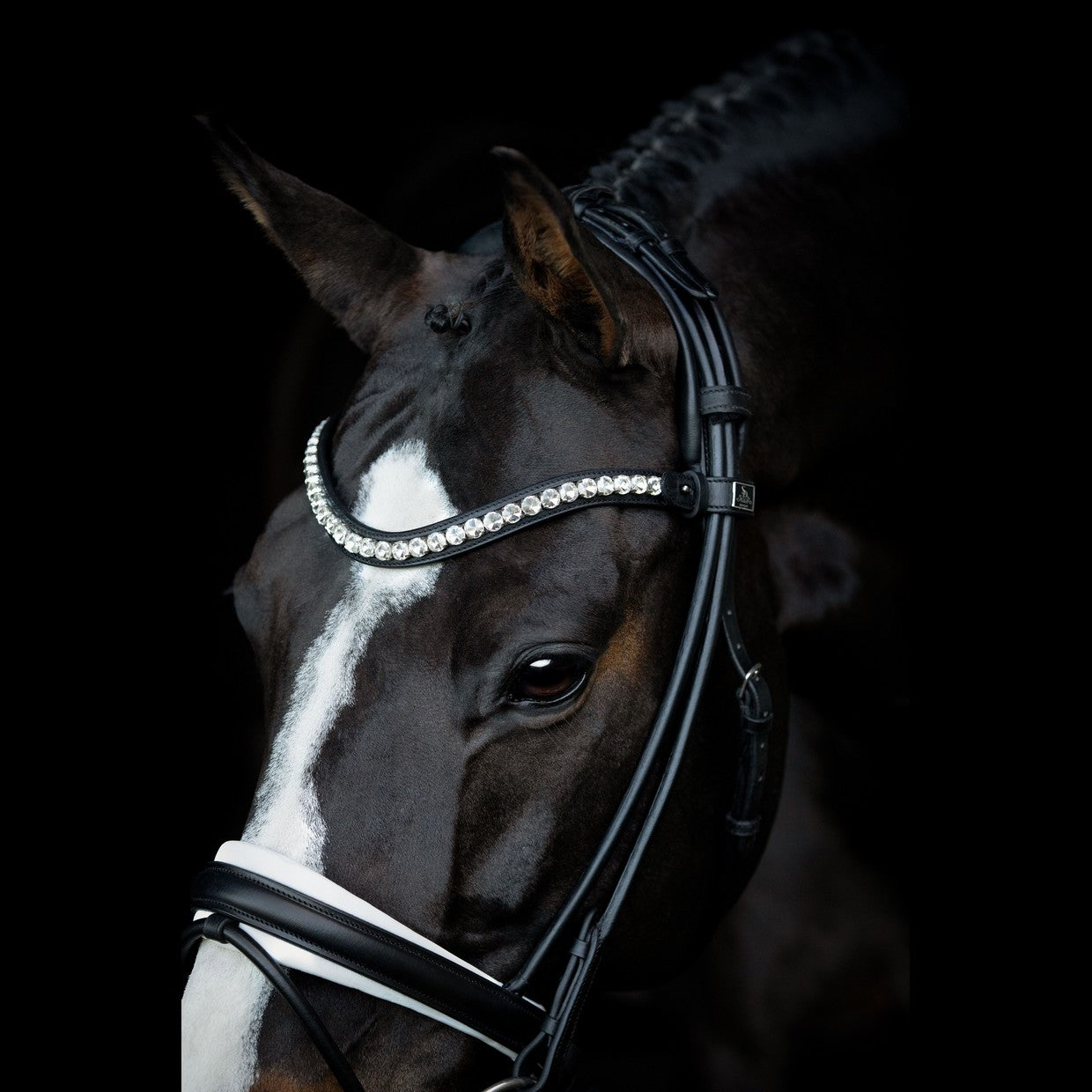SD Design Bridle Duke de Niro II black round stitched white lined