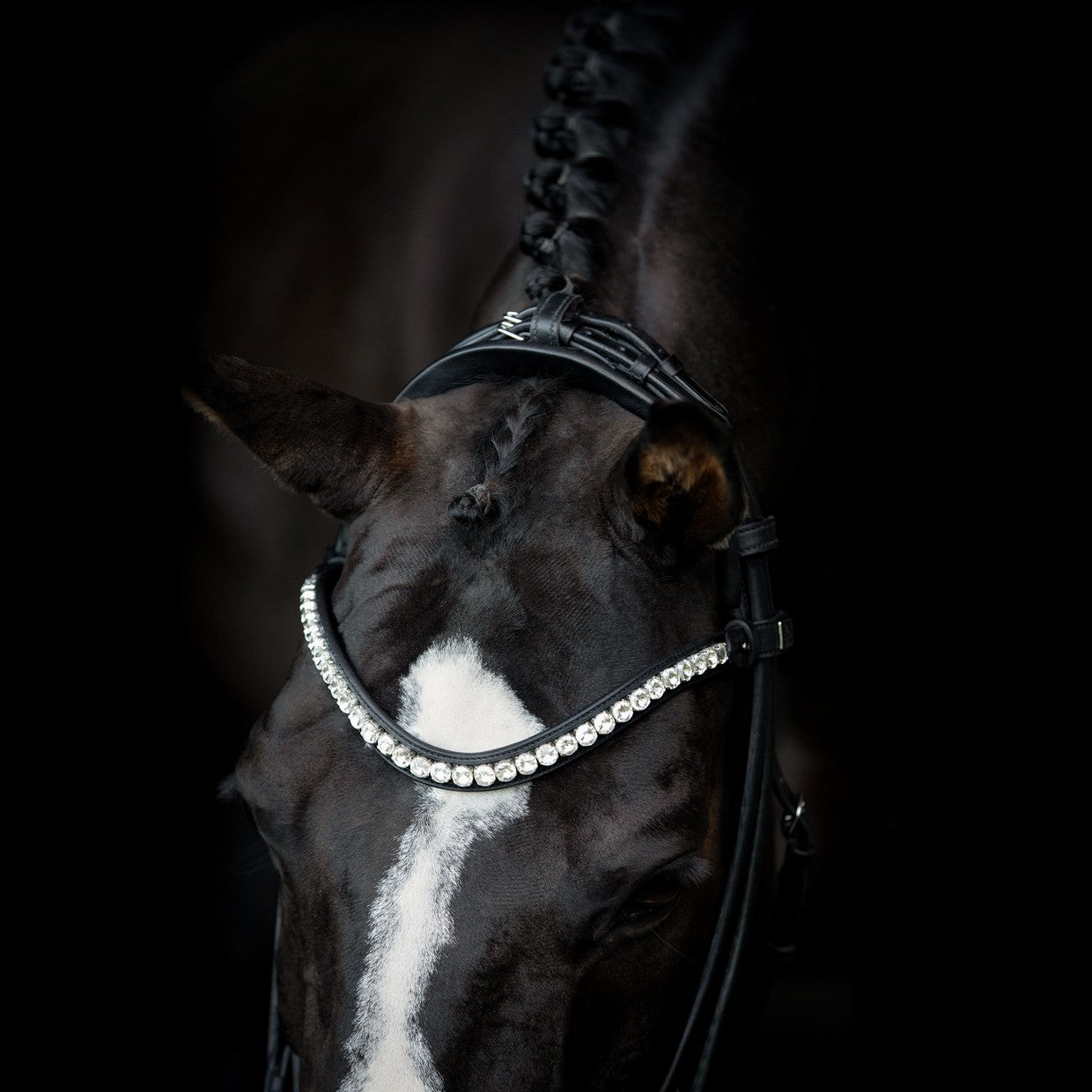 SD Design Bridle Duke de Niro II round stitched black