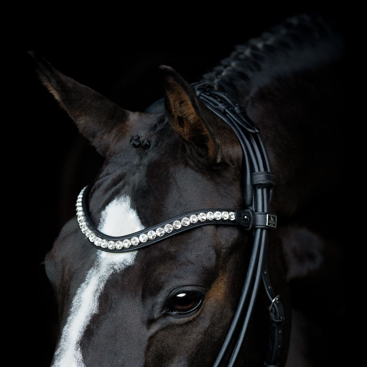SD Design Bridle Duke de Niro II round stitched black