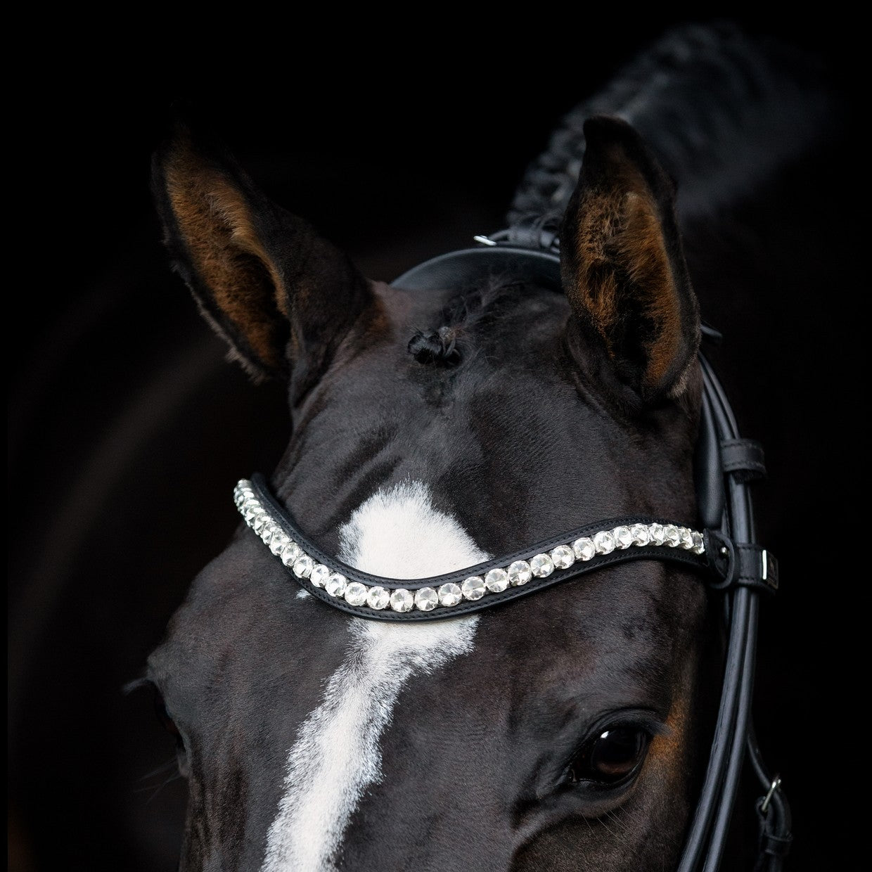 SD Design Bridle Duke de Niro II round stitched black