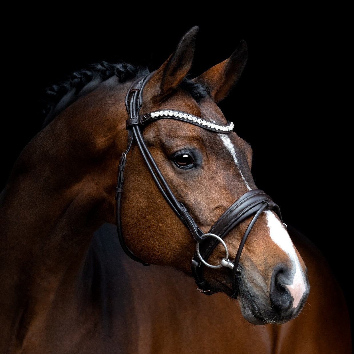 SD Design Bridle Duke de Niro II round stitched black