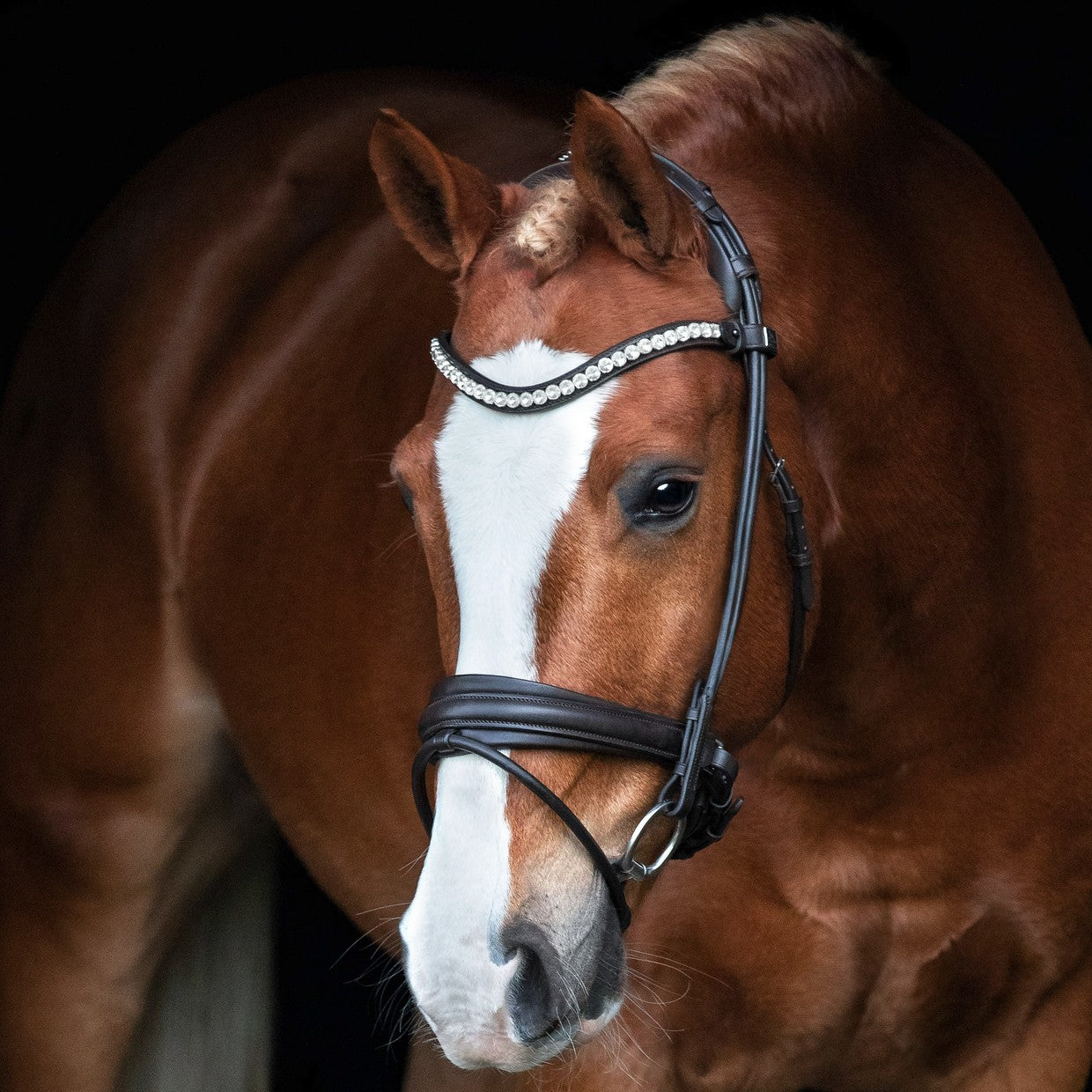 SD Design Bridle Duke de Niro II round stitched black