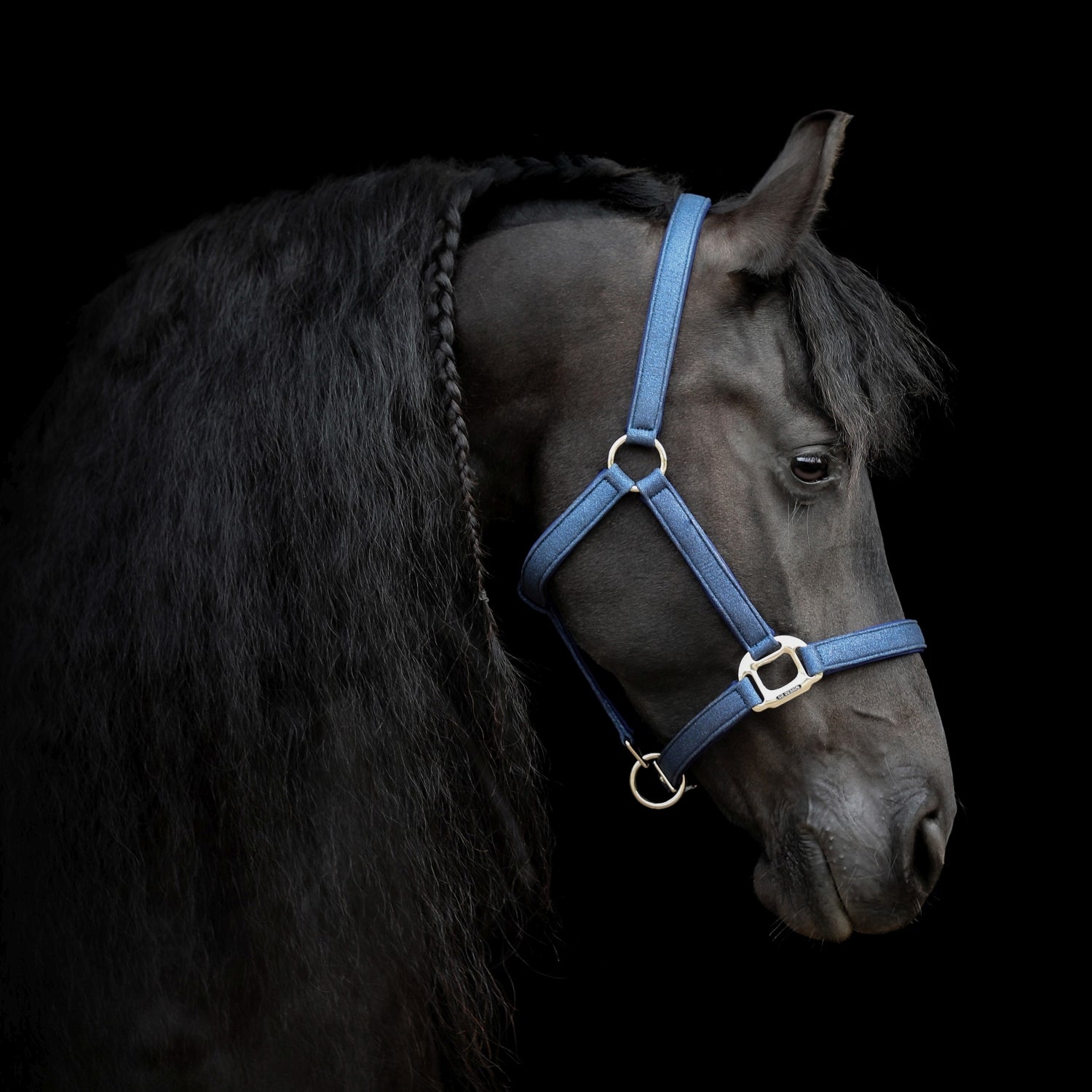 SD Design Halter Hollywood Glamorous blueberry twinkles