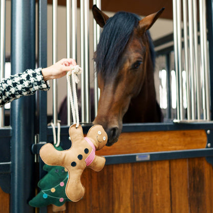 Reiterin hält dem Pferd den Imperial Riding Gingerbread Man hin, das Pferd stupst das baumelnde Pferdespielzeug mit der Nase an.