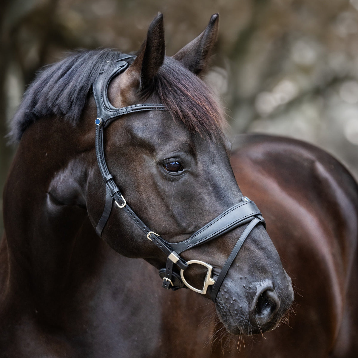 Stübben Bridle Freedom II with Slide&amp;Lock black/black