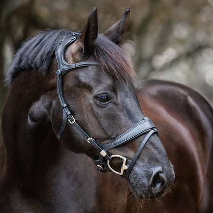 Stübben Bridle Freedom II with Slide&amp;Lock black/black