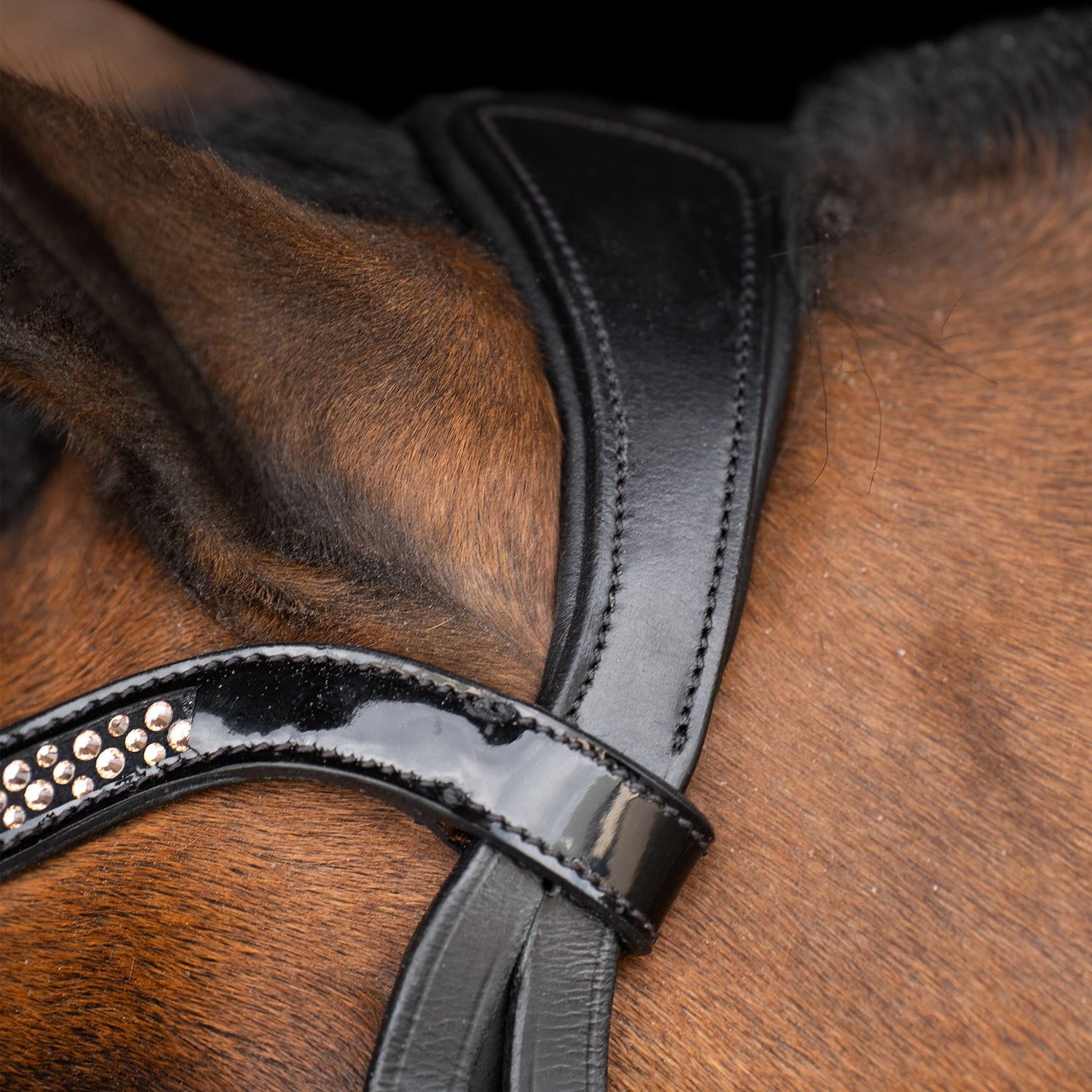 Imperial Riding Pony Bridle IRHPetit Black Rose patent black with rose gold fittings