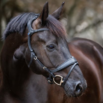 Stübben Bridle Freedom II black/black