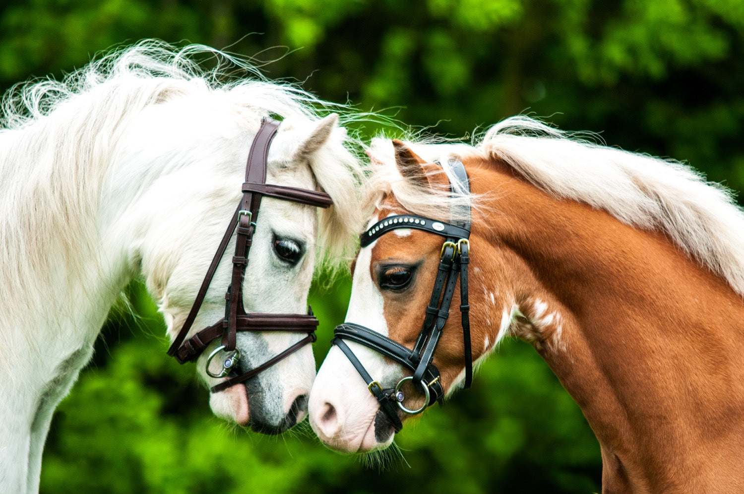 Trust Pony Bit Sweet Iron Loose Ring Snaffle Double Jointed