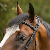Der gerade geschnittene Lederstirnriemen der Trust Trense Geneva eigenet sich für Pferde mit viel Schopfhaar. Hier bleiben keine Haare am Stirnband hängen. Die Reithalfterriemen werden durch das Genickstück geführt und verlaufen in einer Lederhülle darüber. Für optimale Druckverteilung und Komfort für dein Pferd.