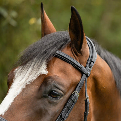 Der gerade geschnittene Lederstirnriemen der Trust Trense Geneva eigenet sich für Pferde mit viel Schopfhaar. Hier bleiben keine Haare am Stirnband hängen. Die Reithalfterriemen werden durch das Genickstück geführt und verlaufen in einer Lederhülle darüber. Für optimale Druckverteilung und Komfort für dein Pferd.