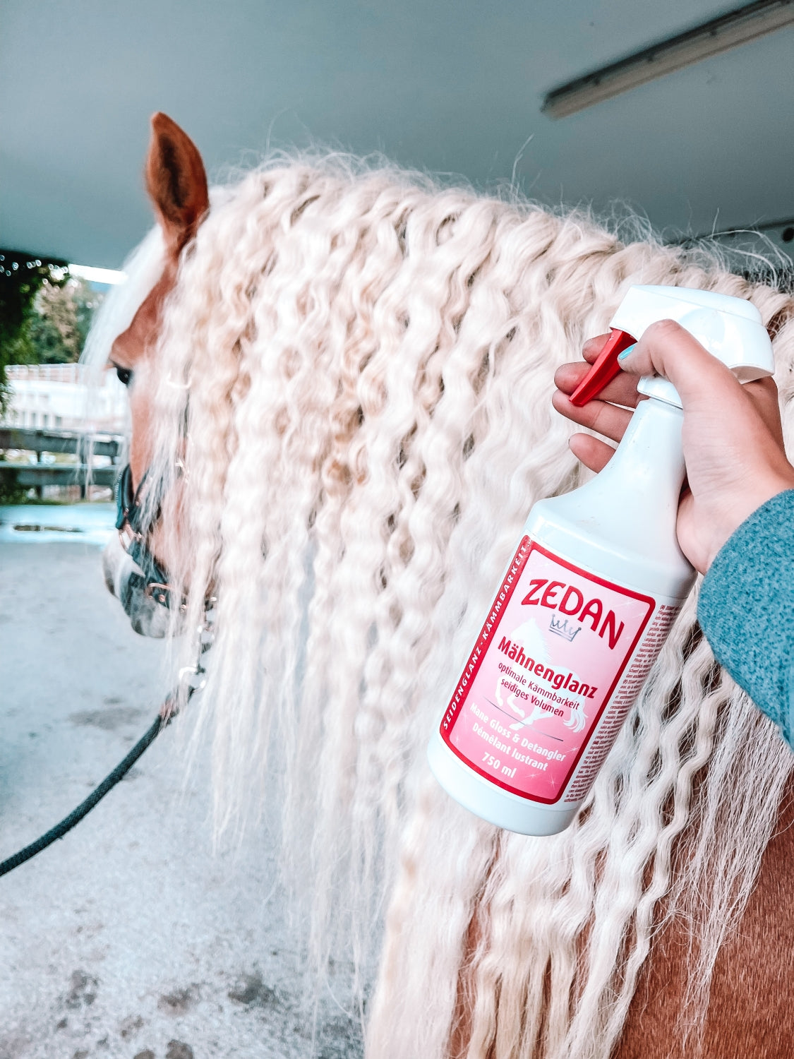 ZEDAN Mane Shine for silky shine and more volume