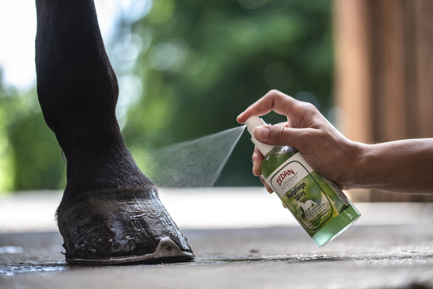 ZEDAN Hufpflege Spray 4 in 1 zur nachhaltigen Pflege von Hufwand, Kronrand, Strahl und Sohle
