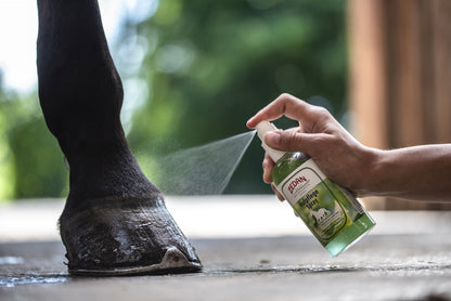 ZEDAN Hufpflege Spray 4 in 1 zur nachhaltigen Pflege von Hufwand, Kronrand, Strahl und Sohle