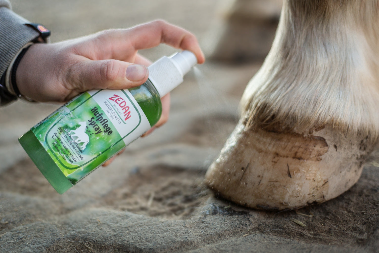 ZEDAN Hufpflege Spray 4 in 1 zur nachhaltigen Pflege von Hufwand, Kronrand, Strahl und Sohle