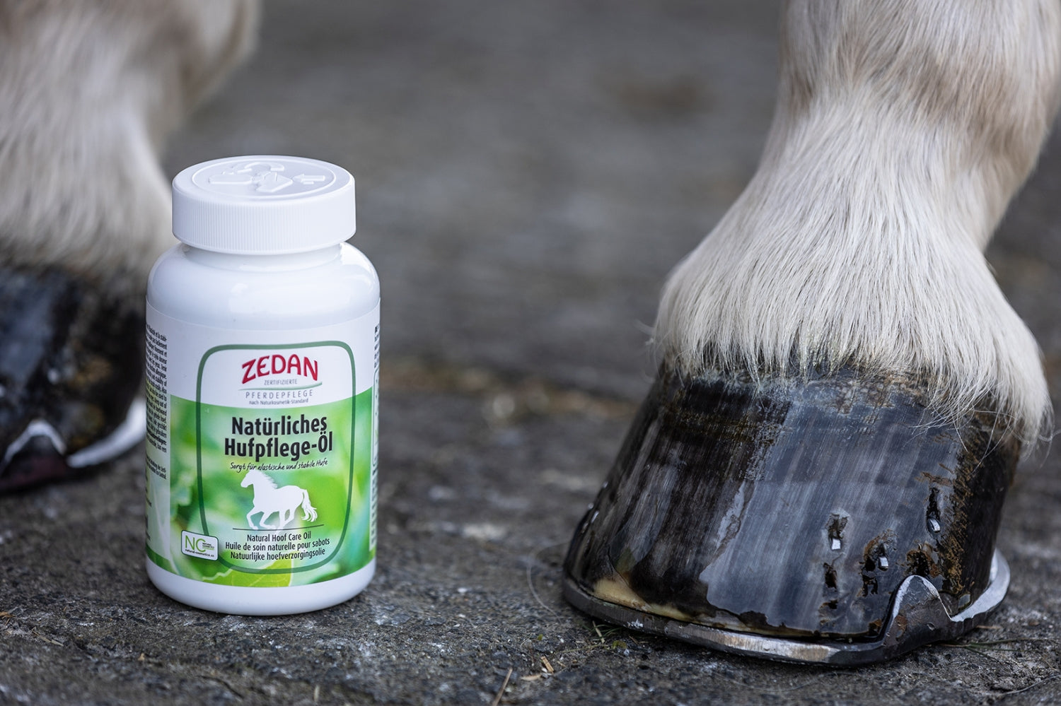 ZEDAN Natürliches Hufpflege-Öl mit hochwertigen, natürlichen Ölen und wertvollem Lanolin