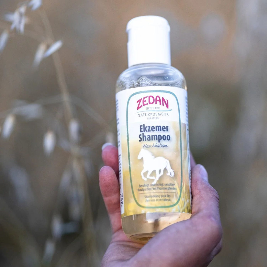 Eine Flasche ZEDAN Ekzemer Shampoo Waschbalsam wird in einem Feld in der Hand gehalten.