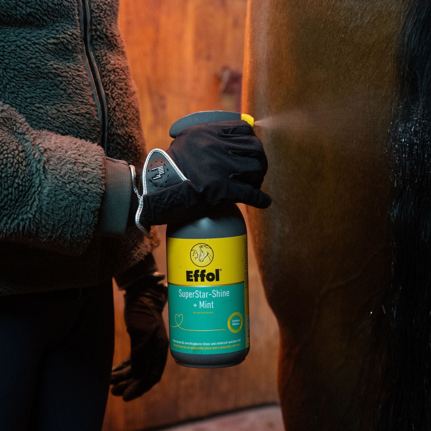 ine Reiterin demonstriert die Anwendung des Effol SuperStar-Shine Mint, indem sie das Glanzspray großflächig auf das Pferd aufsprüht. Das Bild zeigt, wie das Spray auf dem Kurzhaar für sofortigen Glanz und einen frischen Duft sorgt, während es Mähne und Schweif zuverlässig knotenfrei und leicht kämmbar macht. Diese Pflege ist ideal für die tägliche Routine aus Liebe zum Pferd oder als perfektes Finish vor einem Turnier.