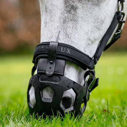 Ein heller Schimmel grast ungestört mit der schwarzen LeMieux Fressbremse Noma und einem LeMieux Halfter. Das feuchte Gras zeigt, wie robust und wetterfest der Weidemaulkorb ist. Das weiche Innenpolster am Nasenrücken und die sichere Schlaufenbefestigung mit Pin sorgen für höchsten Komfort beim Pferd.
