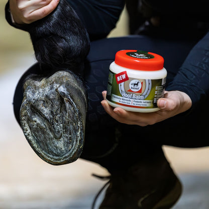 Authentisches Lifestyle-Anwendungsfoto, bei dem eine Reiterin den Hinterhuf ihres Pferdes anhebt, um den leovet hoof balm Hufbalsam gezielt auf die Hufsohle und den Strahl aufzutragen. Das Bild verdeutlicht die vom Hersteller empfohlene Anwendung auf dem ganzen Huf für ein optimales Feuchtigkeitsmanagement und Schutz des Hufhorns bei unterschiedlichen Haltungsformen und Bodenverhältnissen.