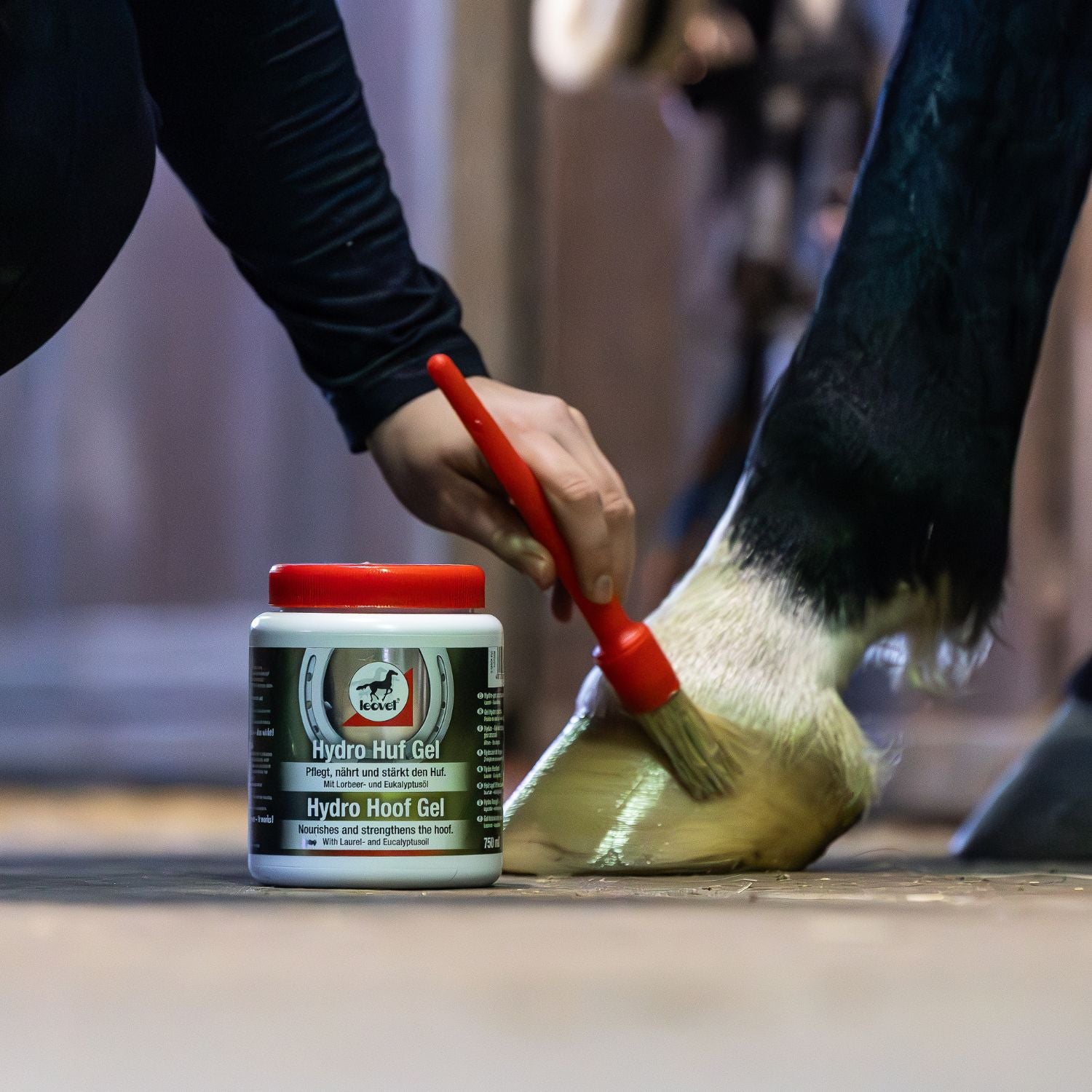 Authentisches Anwendungsfoto aus der Stallgasse: Eine Reiterin trägt das leovet Hydro Huf Gel mit einem Hufpinsel gezielt auf den Pferdehuf auf, während die Hufgel-Dose griffbereit auf dem Boden steht. Dank der leichten, feuchten Konsistenz lässt sich die Hufpflege völlig mühelos verteilen und zieht schnell ein. Der gepflegte Huf erhält sofort einen schönen Glanz.