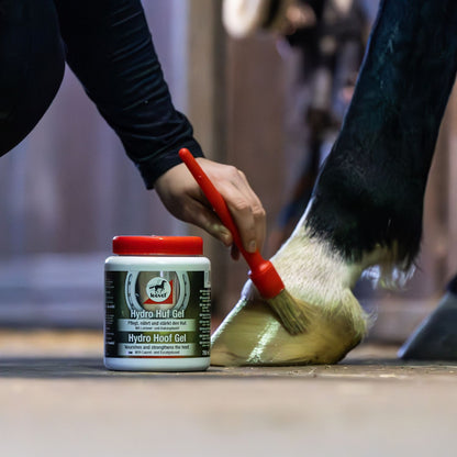 Authentisches Anwendungsfoto aus der Stallgasse: Eine Reiterin trägt das leovet Hydro Huf Gel mit einem Hufpinsel gezielt auf den Pferdehuf auf, während die Hufgel-Dose griffbereit auf dem Boden steht. Dank der leichten, feuchten Konsistenz lässt sich die Hufpflege völlig mühelos verteilen und zieht schnell ein. Der gepflegte Huf erhält sofort einen schönen Glanz.
