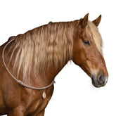 Der formstabile Brockamp Reitring in Braun-Beige-Weiß am Hals eines Fuchses mit blonder Mähne zeigt die harmonische Farbabstimmung des Baumwoll-Halsrings auf warmen Fellfarben beim freien Reiten.