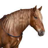 Formstabiler Brockamp Reitring in Schwarz am Hals eines Pferdes zur feinen Hilfengebung und für das freie, gebisslose Reiten im Horsemanship.