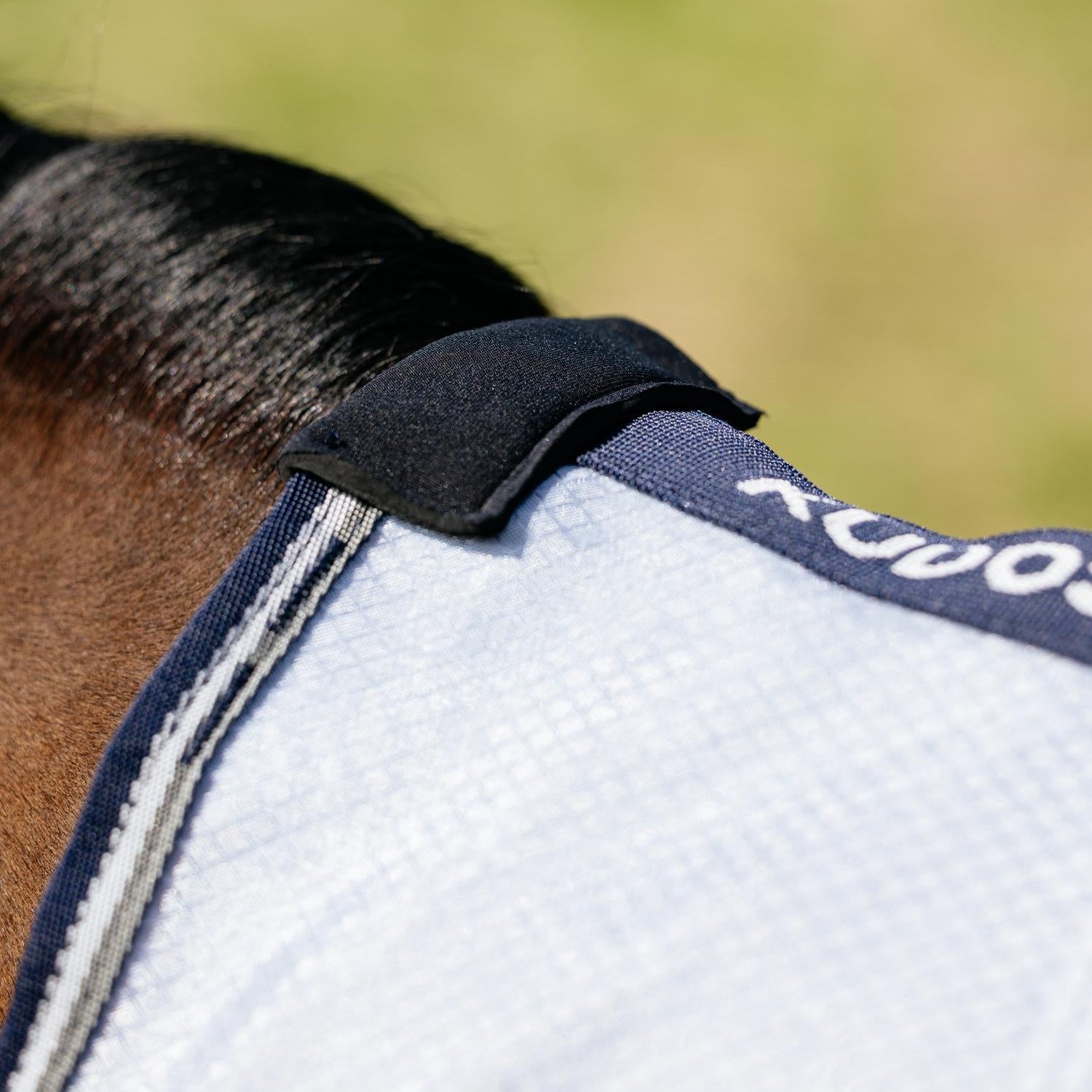Detailaufnahme des durchdachten Widerristschutzes der LeMieux Fliegendecke Kudos AeroGuard. Die weiche Polsterung am höchsten Punkt des Pferderückens verhindert zuverlässig unangenehme Reibung, Haarbruch und Scheuerstellen während der gesamten Fliegensaison.