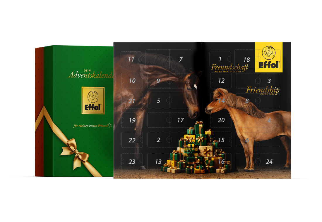 Bildkomposition des Effol Adventskalenders 2026: Links geschlossen, rechts aufgeklappt mit 24 Türchen und weihnachtlichem Pferdemotiv. Zu sehen sind ein Shetlandpony und ein dunkelbraunes Großpferd an einem Haufen Geschenke sowie das gelbe Effol-Logo mit dem Slogan „Freundschaft muss man pflegen“. Der Pferde-Adventskalender enthält 24 Überraschungen für Reiter und Pferd von Effol, effax und Hey Sport.