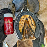Kevin Bacon’s Hoof Solution Hufpflege
