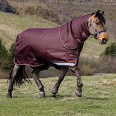 Trabendes Pferd auf der Weide trägt die LeMieux Arika Ripstop Outdoordecke mit abnehmbarem Halsteil. Das nahtlose Rückenteil und das robuste 600D Ripstop-Material halten Pferd und Pony im Herbst, Winter und Frühjahr zuverlässig trocken. Perfekt als Regendecke, Übergangsdecke und Weidedecke sowie dank Arika Liner-System mit Unterdecke als Winterdecke erweiterbar.