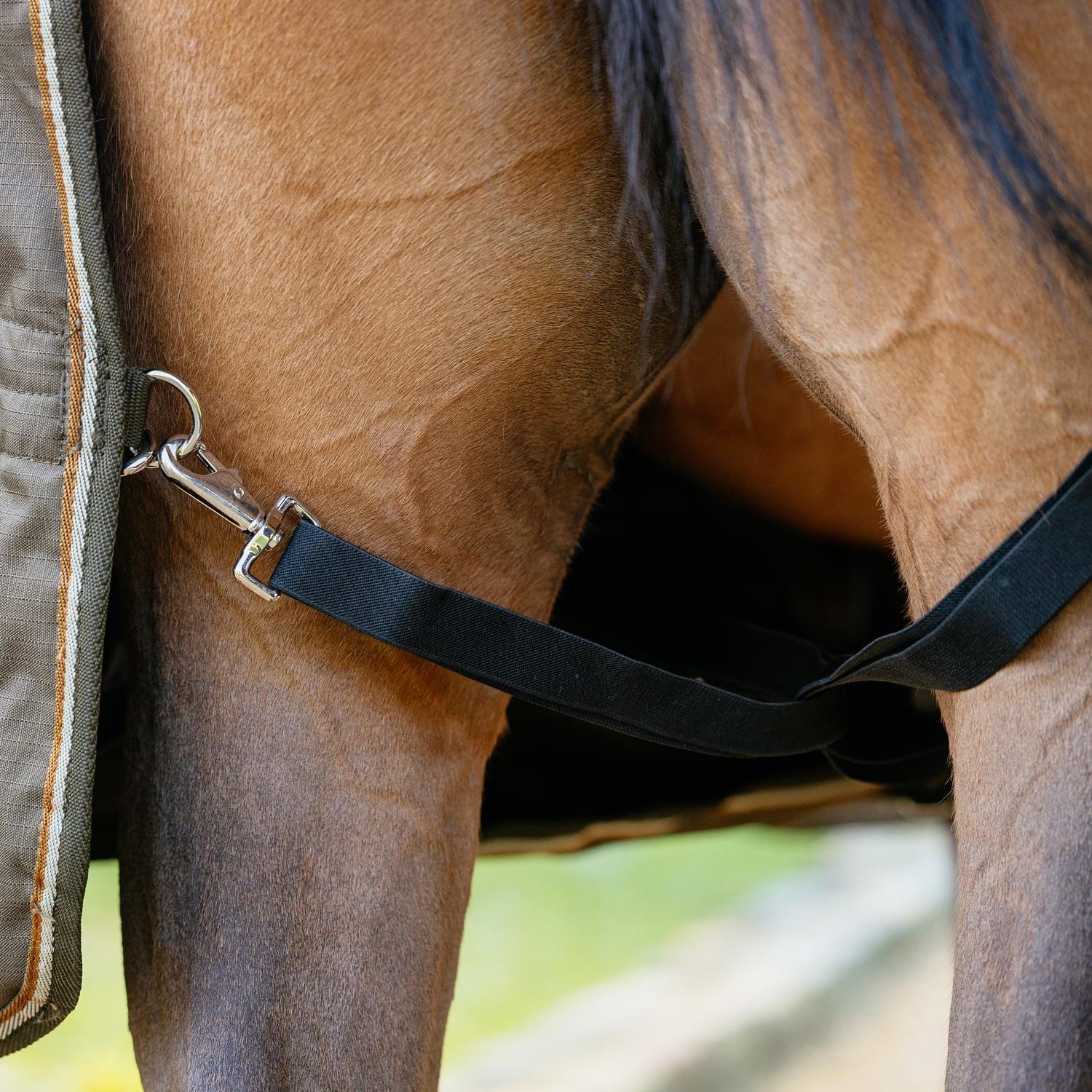 Die Kreuzgurte der Arika Ripstop Turnout Rug Weide- und Outdoordecke stabilisieren die Lage der Decke vor dem Herumrutschen zusätzlich und machen sie zu einem sicheren und langlebigen Begleiter deines Pferdes. So kann sich dein Pferd frei und natürlich bewegen ohne, dass die Decke verrutscht.