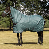 Schwarzes Pferd (Rappe) auf der Weide trägt die wasserdichte LeMieux Arika Ripstop Weidedecke 0 g in der Trendfarbe Aloe mit abnehmbarem Halsteil. Die grüne 600D Outdoordecke schützt bei wechselhaftem Wetter und bietet durch den patentierten zweiteiligen Saum perfekte Passform sowie maximale Bewegungsfreiheit. Ideal als atmungsaktive Regendecke, Paddockdecke und Übergangsdecke für Pferd und Pony.