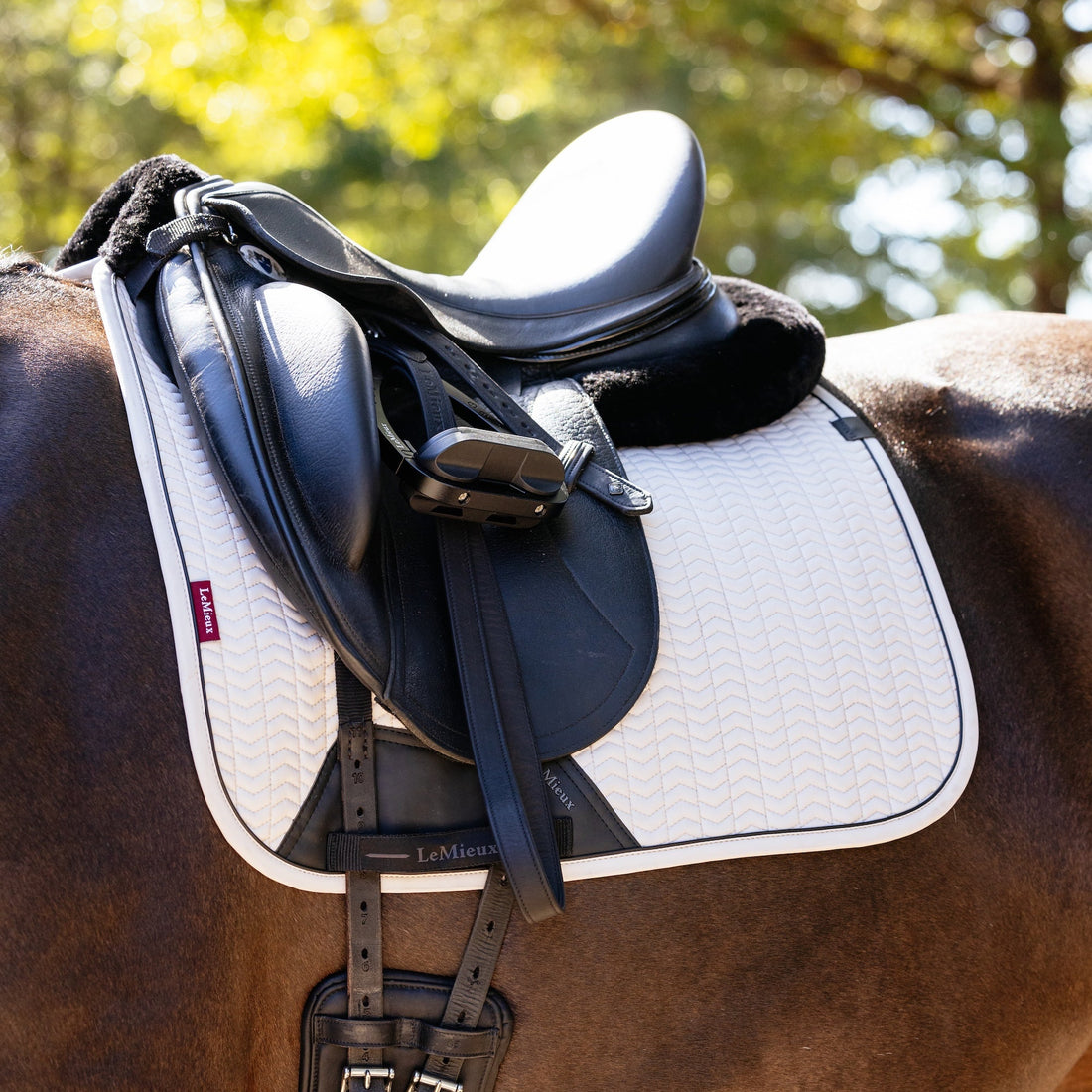 natomische Passform der LeMieux Essence Dressage Schabracke Stone am Pferd unter einem schwarzen Dressursattel – zeigt die perfekte Lage und Widerristfreiheit.
